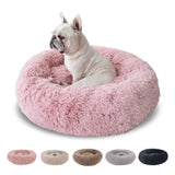 CALMING DOG BED (MUSHROOM) - Peppy Buddies