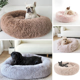 CALMING DOG BED (MUSHROOM) - Peppy Buddies