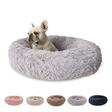 CALMING DOG BED (MUSHROOM) - Peppy Buddies